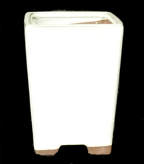 bkks_051_gross.jpg