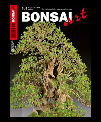 bonsaiart_161.jpg