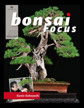 focus_085.jpg