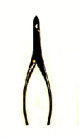 wzs_011.gif